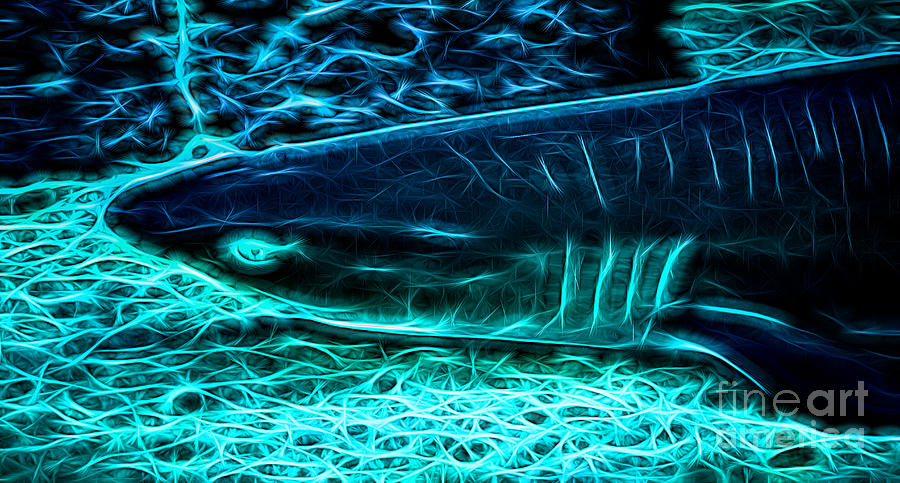 Ethereal Shark Digital Art by Ray Shiu