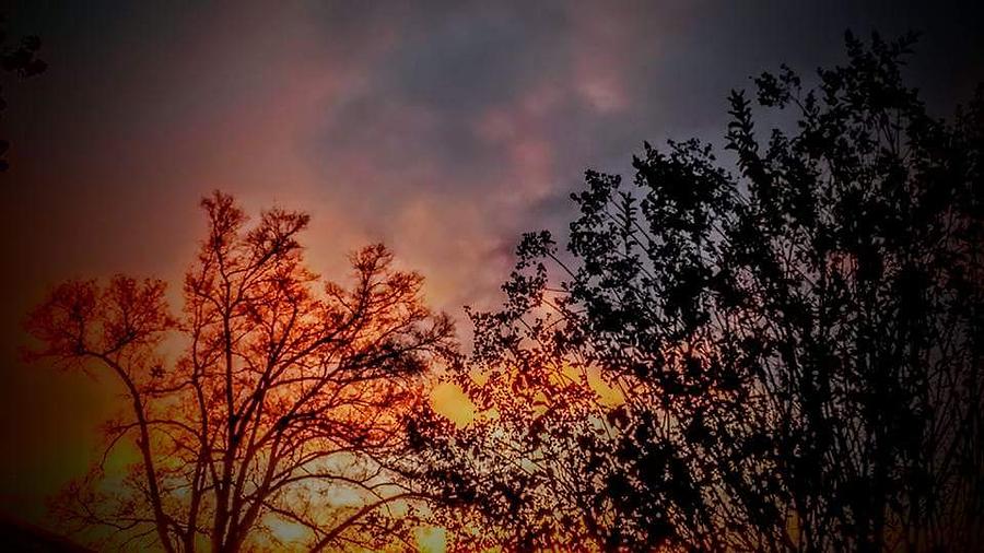Sunset Photograph - Ethereal Sunset by Kathy Barney