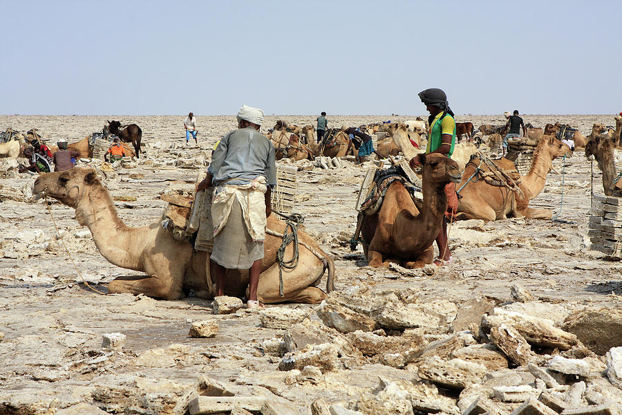 Ethiopian Salt Flats Photograph by Aidan Moran