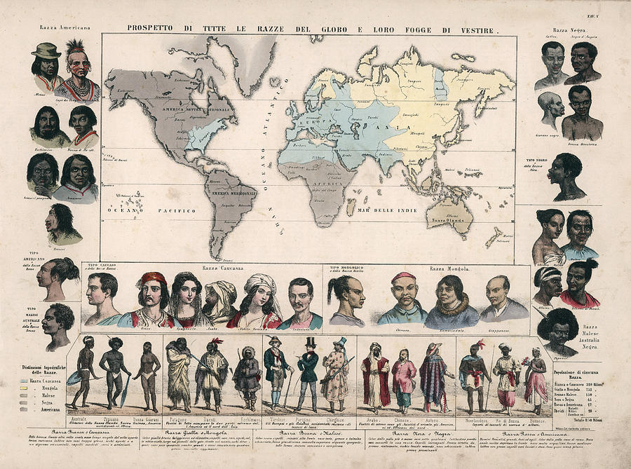 Vintage Drawing - Ethnographic Map - Races of Man - Anthropology - Historic Chart - Ethnic Races - Old Maps by Studio Grafiikka