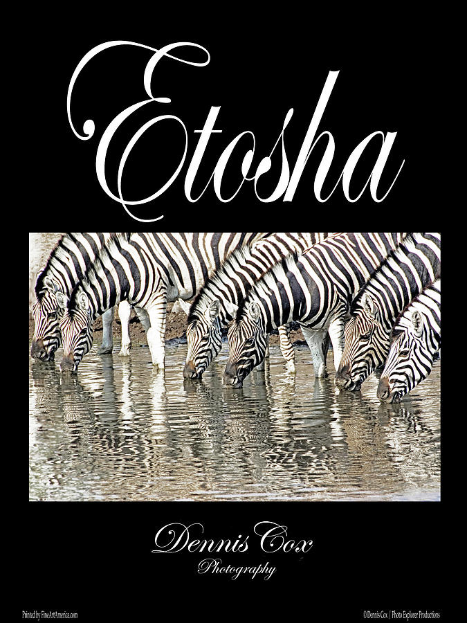 Etosha Travel Poster Photograph by Dennis Cox Photo Explorer