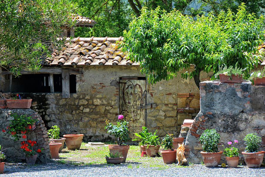 Etruscan Garden Photograph