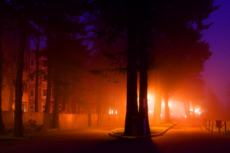 Tree Photograph - Ettienes Dawn Three by Julius Reque