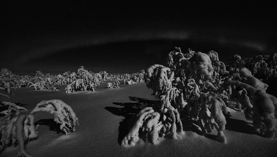 Etude en noir et blanc Photograph by Pekka Sammallahti