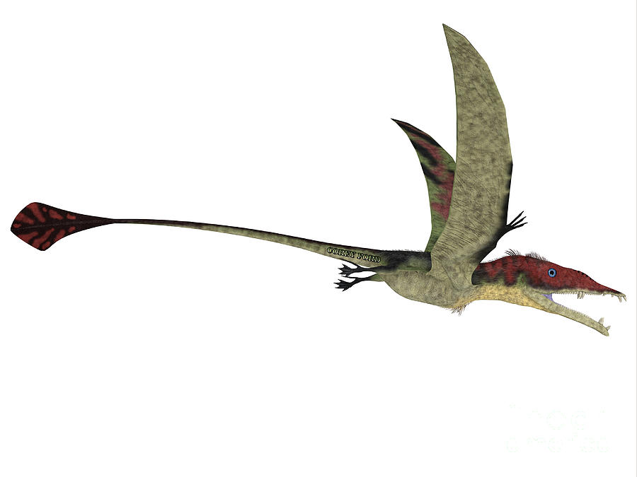 eudimorphodon