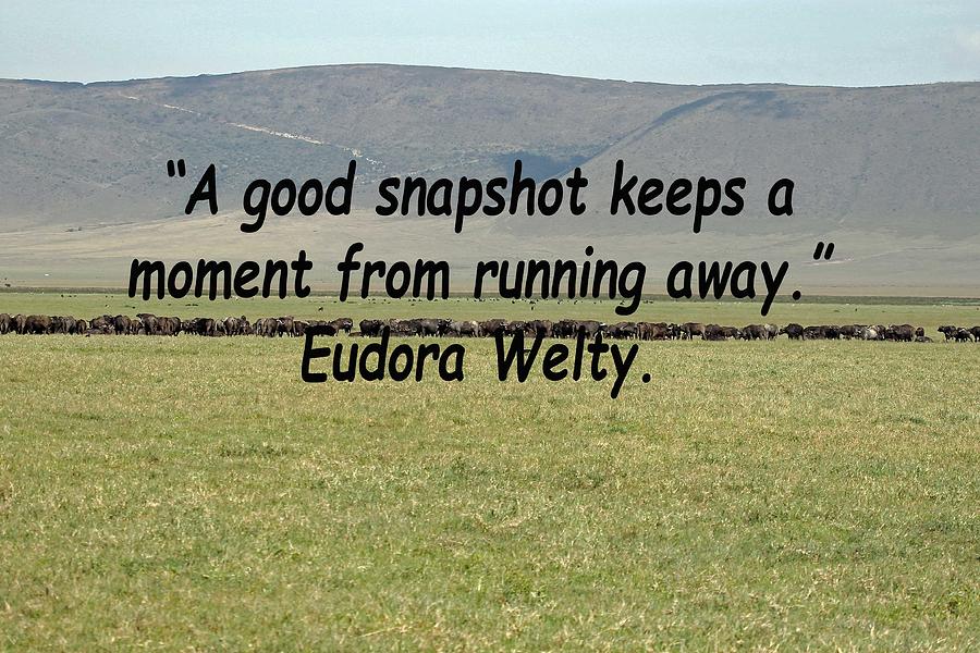 Eudora Welty Quote Photograph by Tony Murtagh