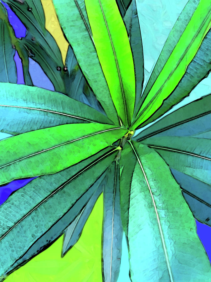 Euphorbia Digital Art by Gina Harrison