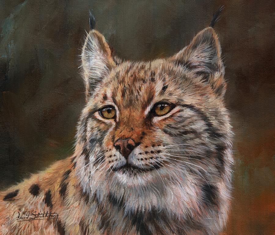 Eurasian Lynx Painting by David Stribbling
