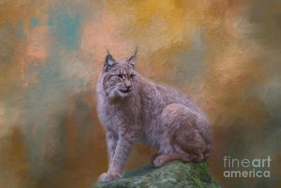 Eurasian Lynx Wildlife Mixed Media by Eva Lechner