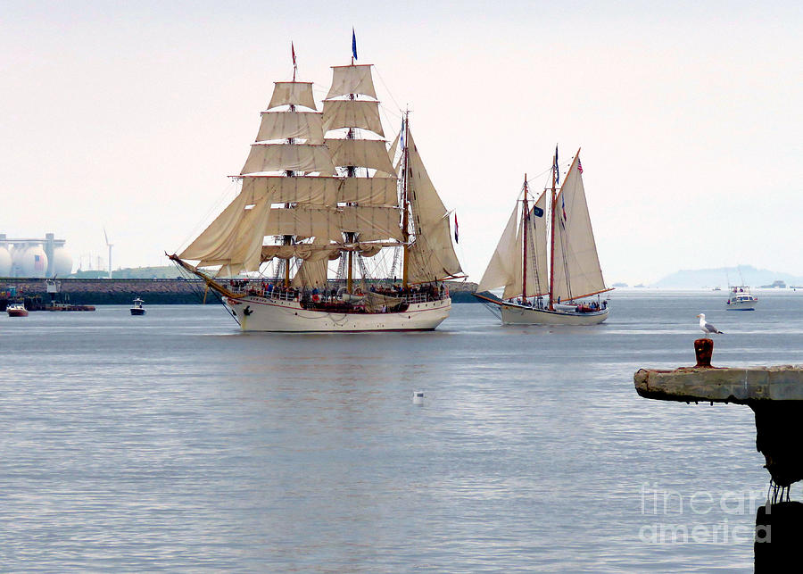 Europa and American Eagle  Photograph by Janice Drew