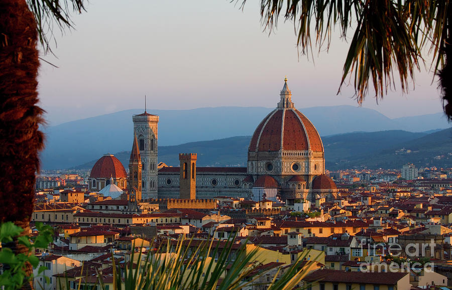 Europe Florence Framed By Palm Trees Photograph