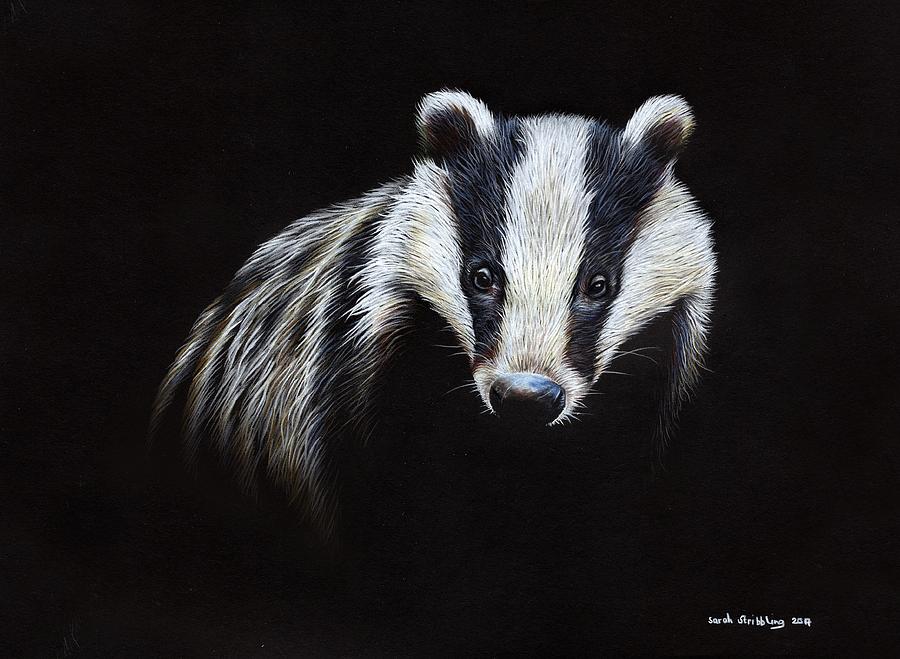 Wildlife Painting - European Badger by Sarah Stribbling