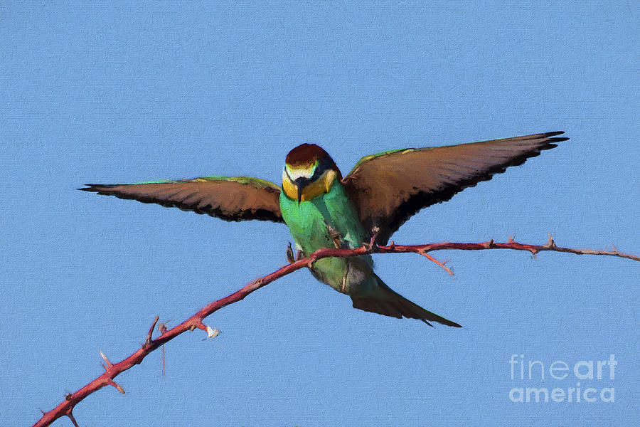 European Bee-eater Digital Art by Liz Leyden