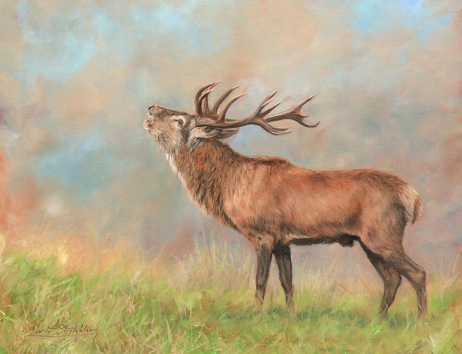 European Red Deer Painting by David Stribbling