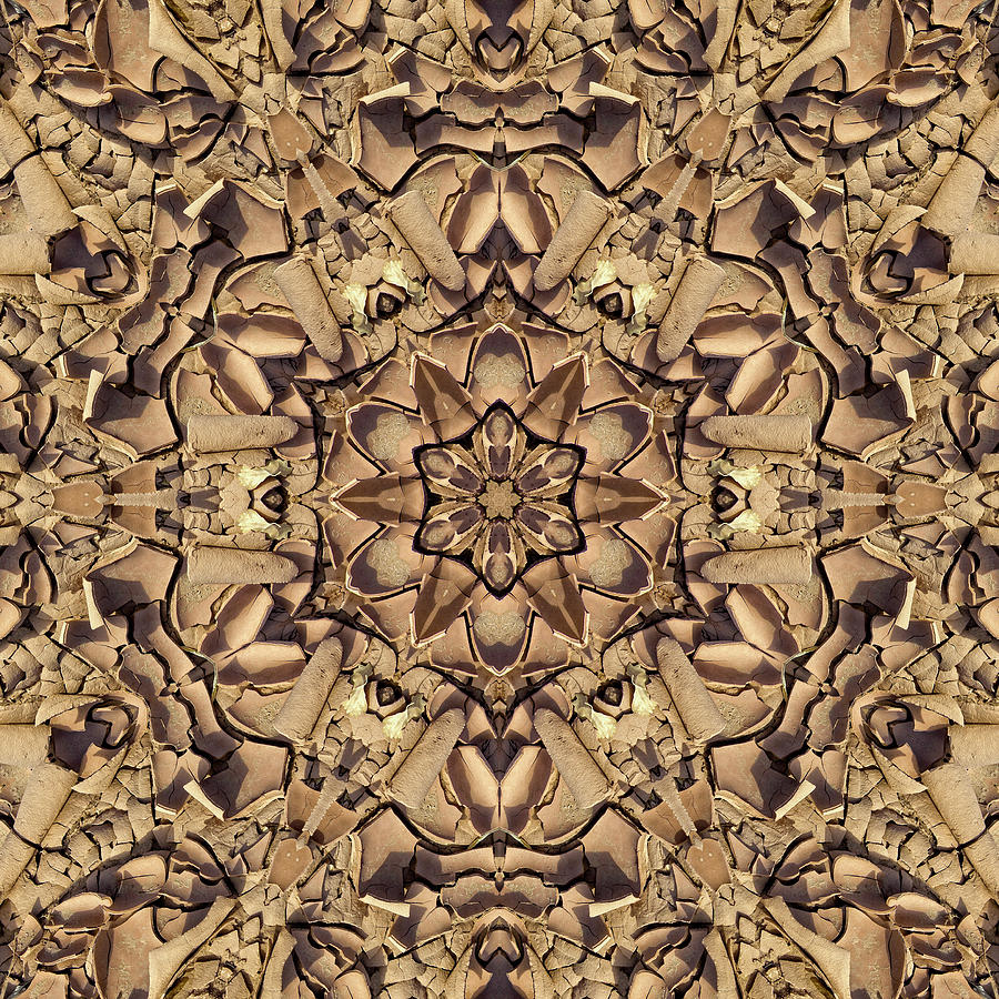 Desert Digital Art - Evanescence by Becky Titus