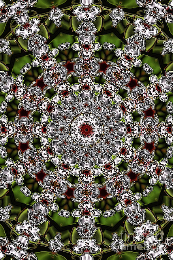 Evans Branch Star Kaleidoscope Digital Art by Donna L Munro
