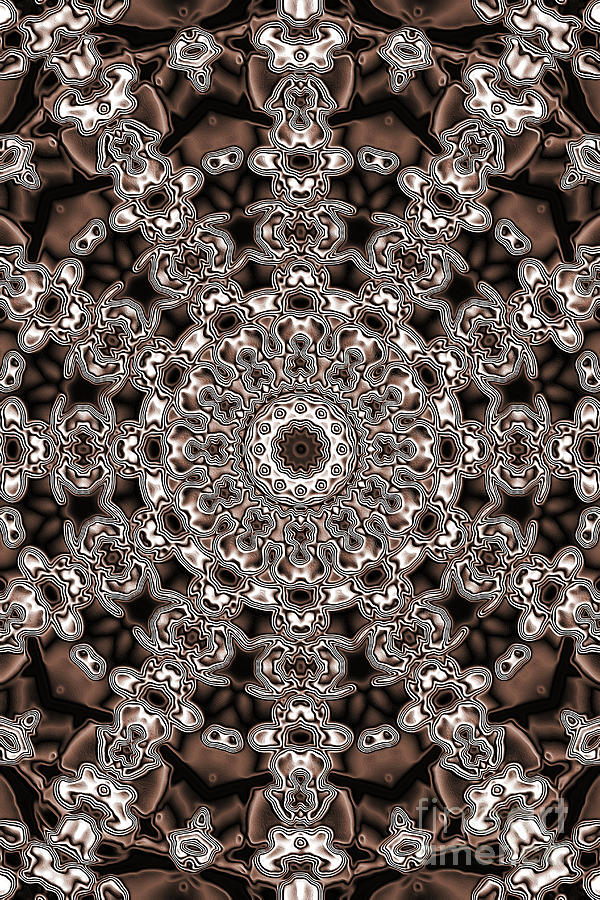 Evans Cherry Star Sepia Kaleidoscope Digital Art by Donna L Munro