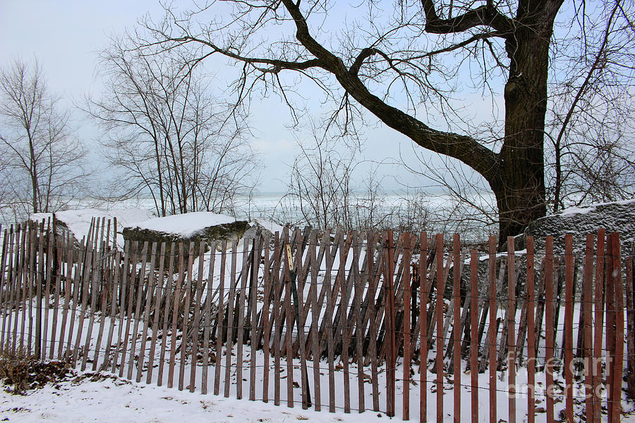 Evanston Winter Photograph by Laura Kinker