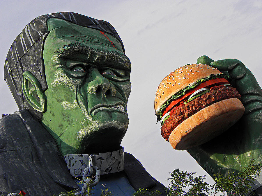 Even Frankie Loves a Burger Photograph by Elizabeth Hoskinson