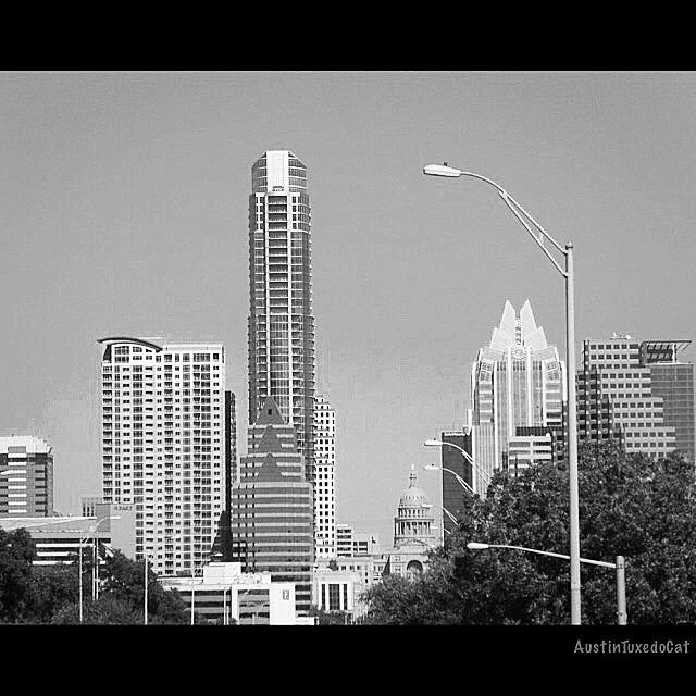 Skyscraper Photograph - Even In #blackandwhite, The #skyline Of by Austin Tuxedo Cat