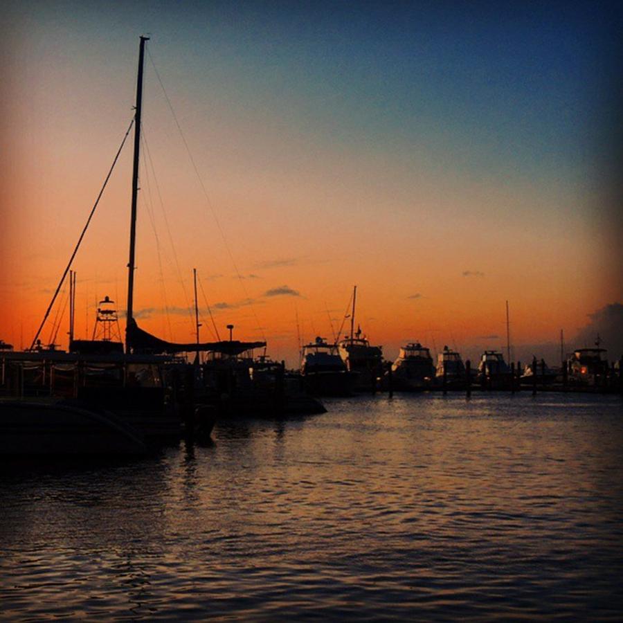 Boat Photograph - Key West Bight Sunset by Claudia Miller