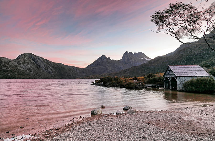 Evening at Dove Lake Photograph by Nicholas Blackwell