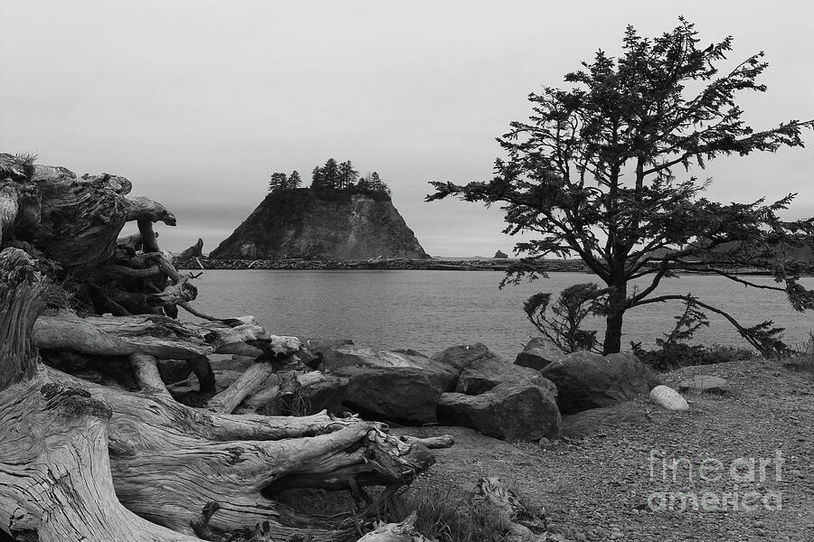 Evening At La Push Beach Photograph by Christiane Schulze Art And Photography