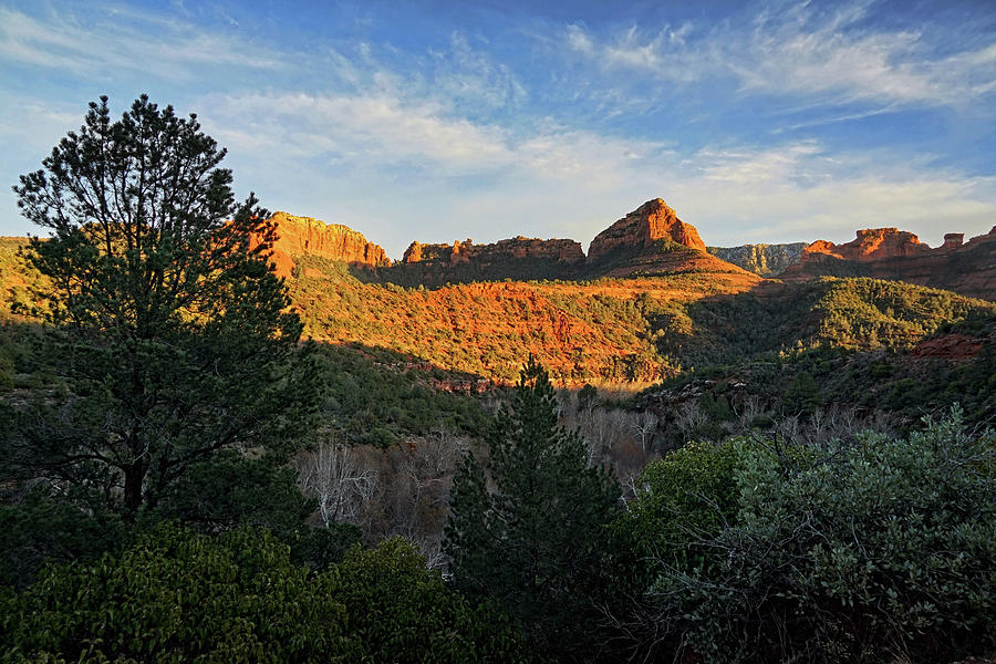 Evening at Oak Creek Canyon Photograph by Theo OConnor