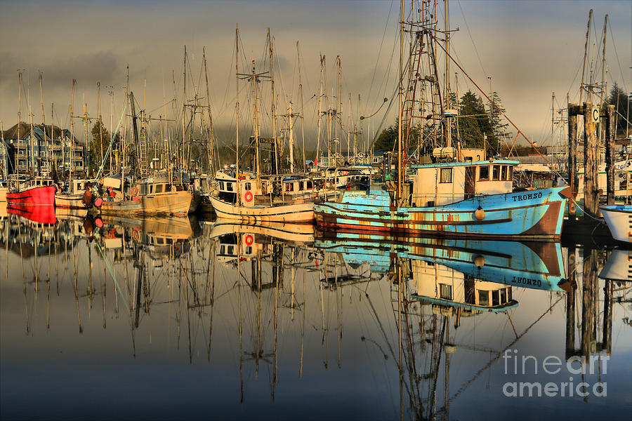 Evening At The Ucluelet Harbor Photograph by Adam Jewell
