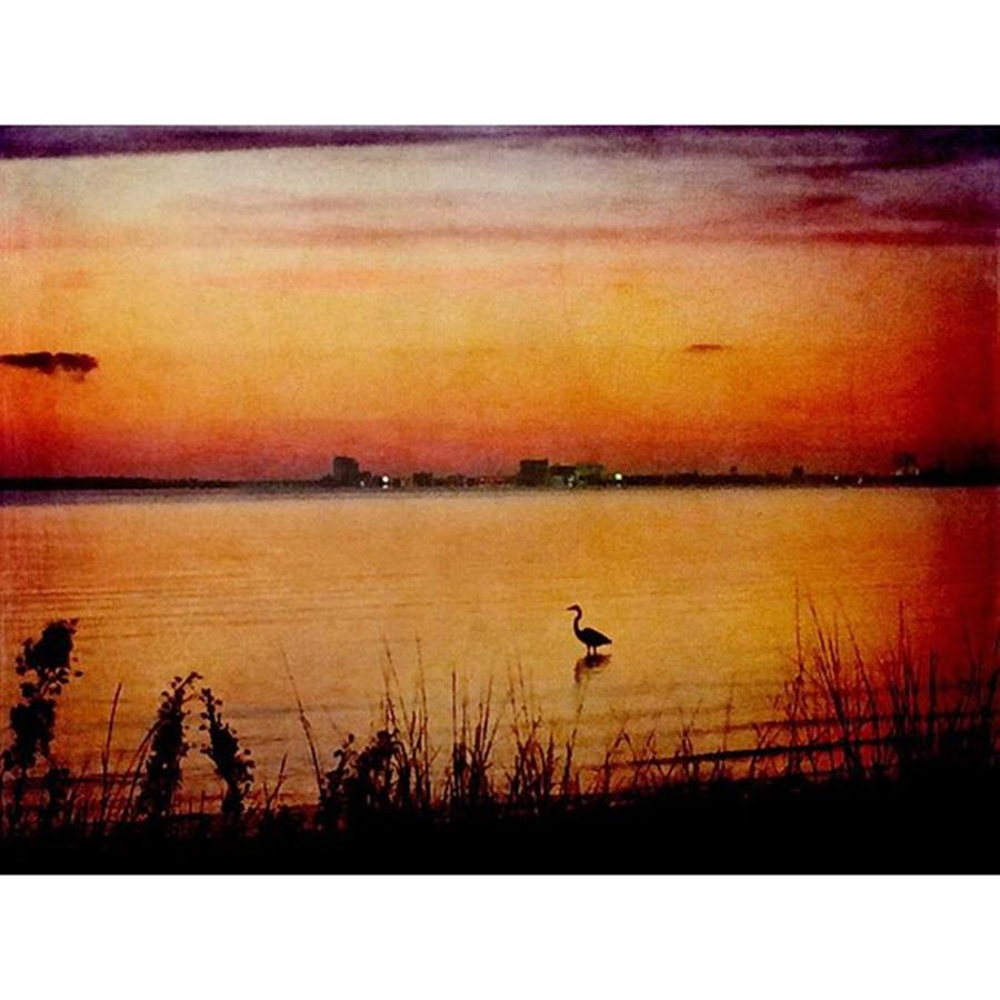 Sunset Photograph - Evening Beauty #oceanspringsmississippi by Joan McCool