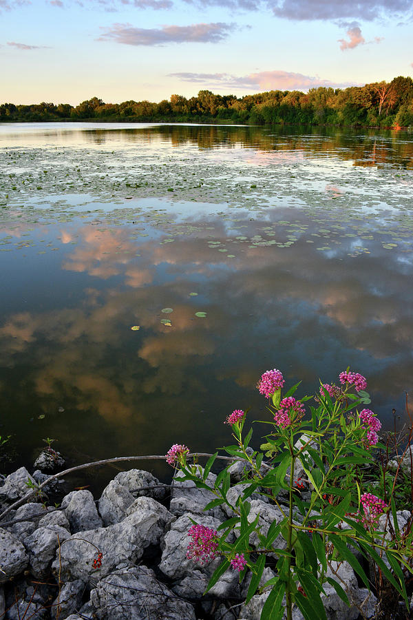 Evening Comes To Snug Harbor In Mchenry Photograph