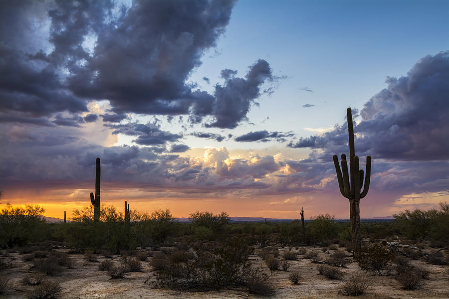 Sunset Photograph - Evening Desert Rain  by Saija Lehtonen