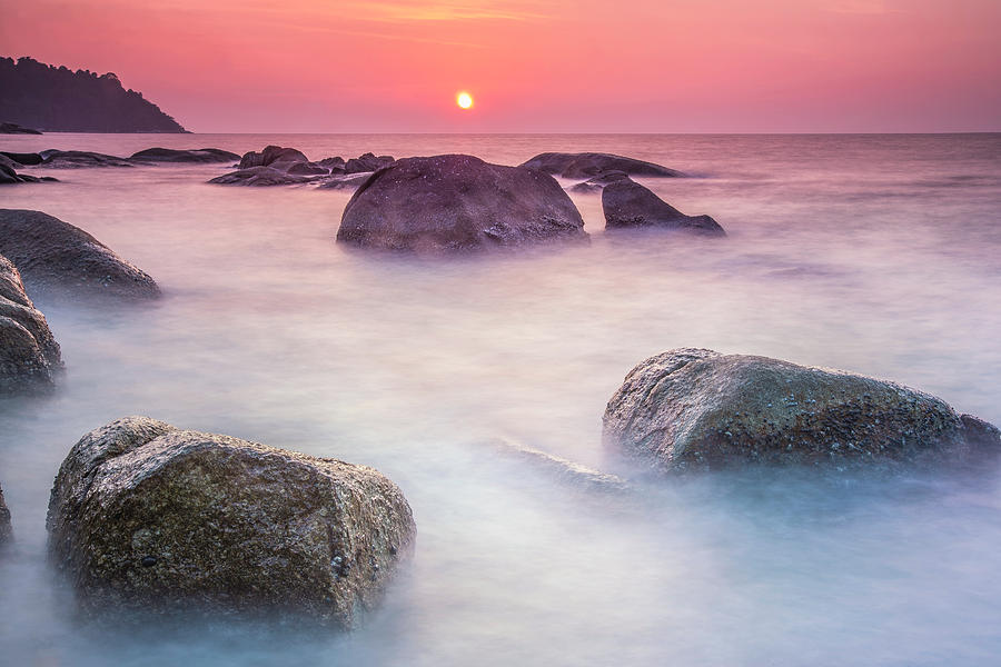 Evening Dew Photograph by Paul Chong - Fine Art America