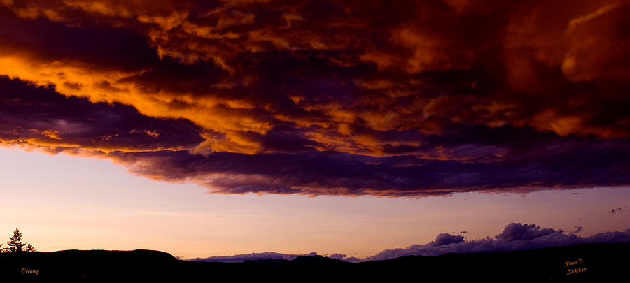 Sunset Photograph - Evening by Diane C Nicholson