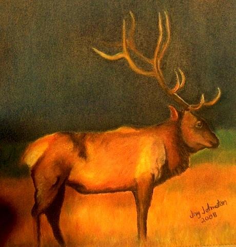 Animal Painting - Evening Elk by Jay Johnston