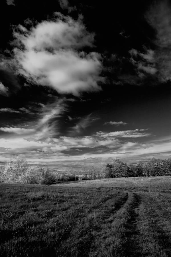 Evening Fields and Sky Photograph by Irwin Barrett