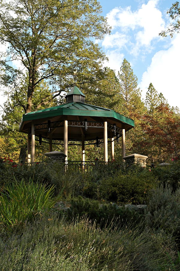Evening Gazebo in Paradise Photograph by Michele Myers