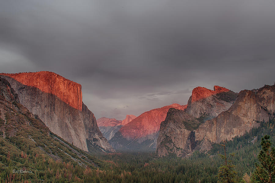 Evening Glow In Yosemite Photograph by Bill Roberts