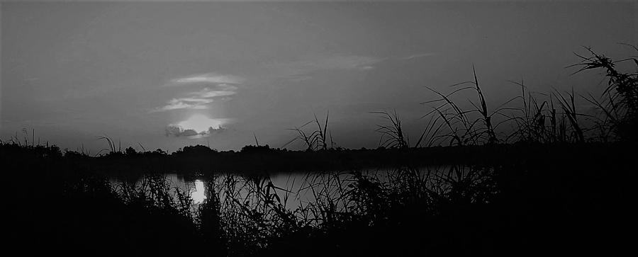 Evening Grey Photograph by John Glass