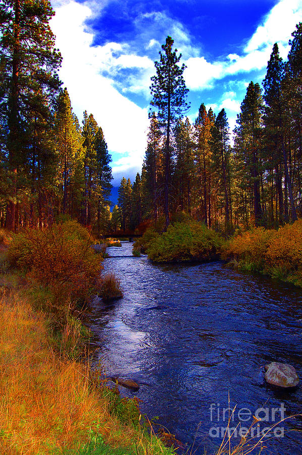 Evening Hatch on the Metolius River Photograph Photograph by Diane E Berry