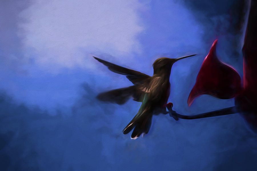 Evening Hummingbird Painting by Bonnie Bruno