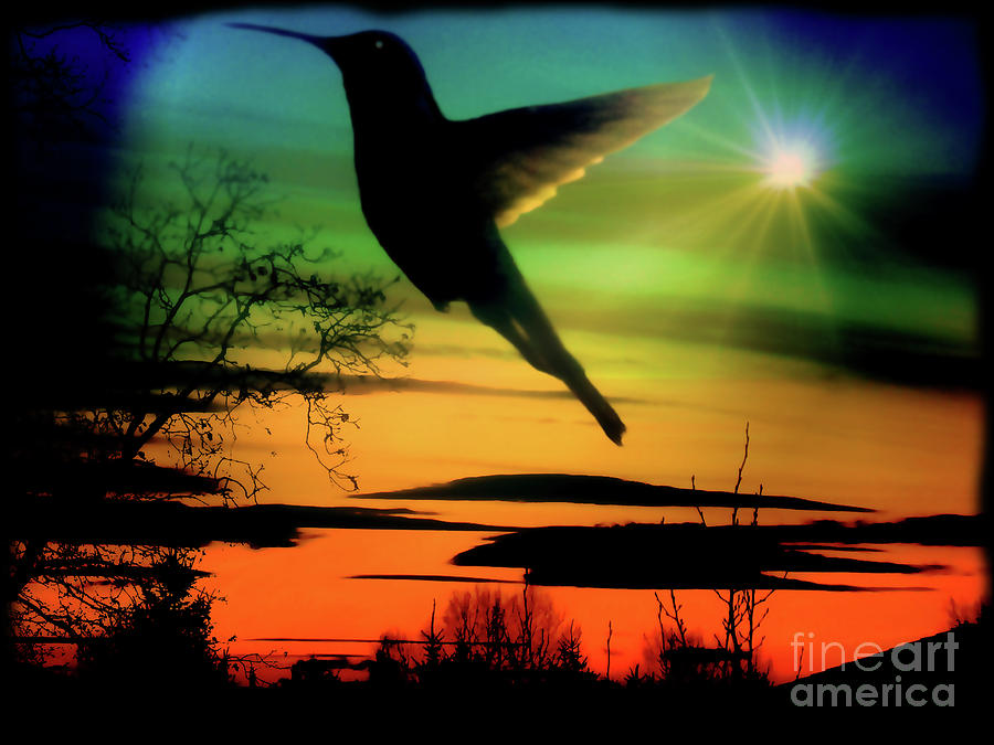 Evening Hummingbird II Photograph by Al Bourassa