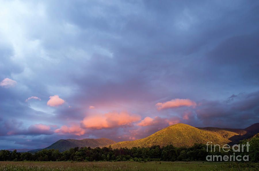 Evening in Cades Cove - D009913 Photograph by Daniel Dempster