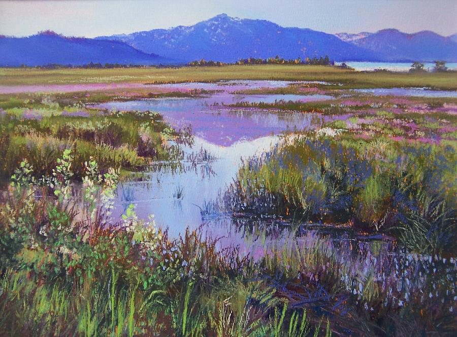 Lake Tahoe Pastel - Evening in the Marsh by Bonita Paulis