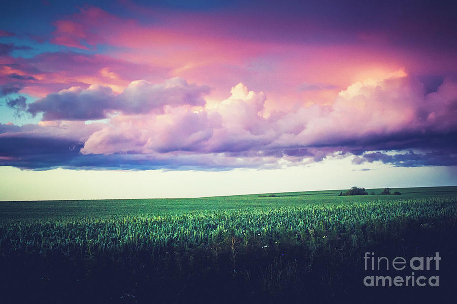 Evening In The Palouse Photograph