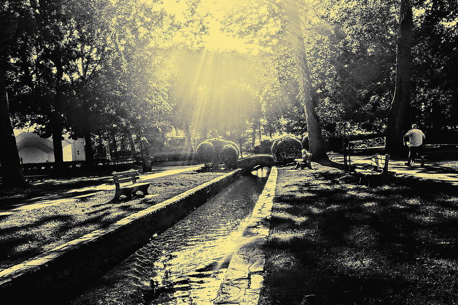 Black And White Photograph - Evening in the Park by Paul Kercher