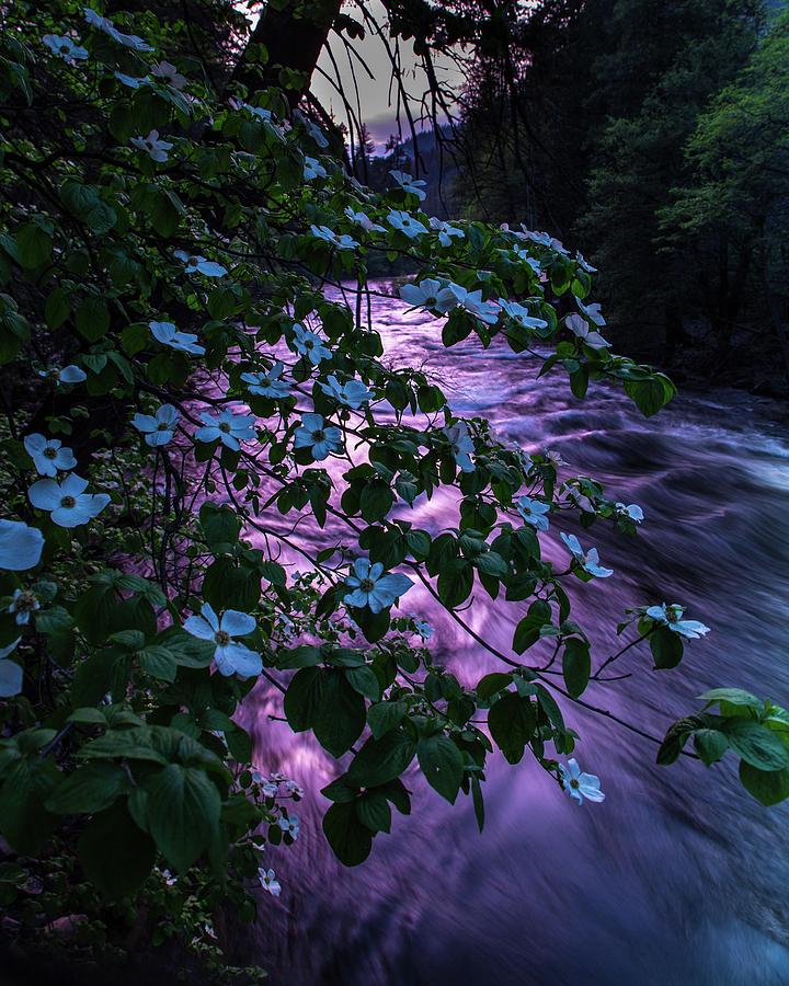 Evening in Yosemite by John and Nicolle Hearne Evening in Yosemite by John and Nicolle Hearne