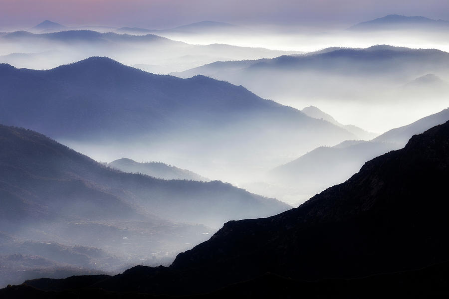 Sequoia National Park Photograph - Evening Layers by Nicki Frates