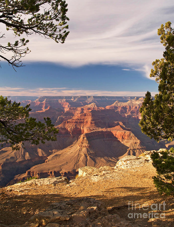 Grand Canyon National Park Photograph - Evening Light at Hopi Point by Alex Cassels