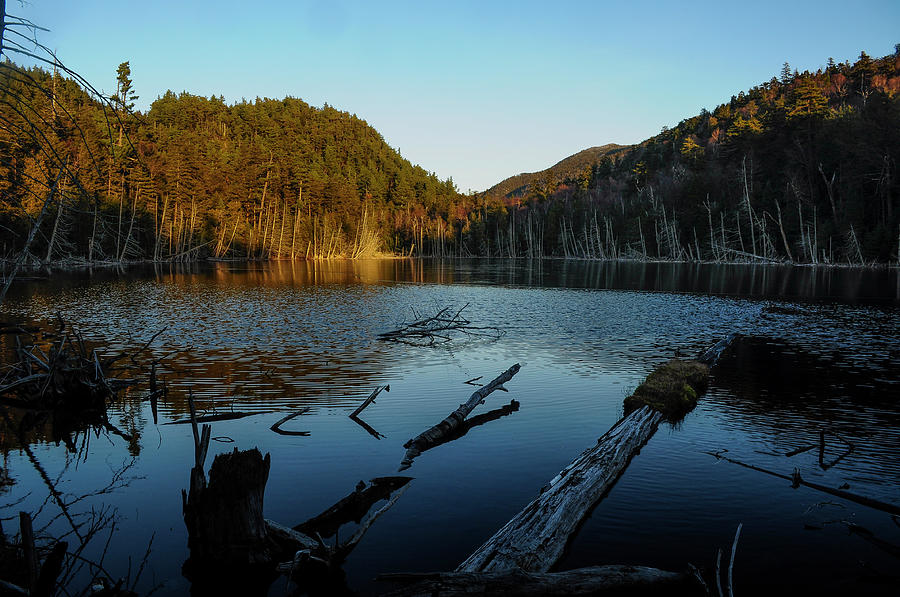 Evening Light by Bob Grabowski Evening Light by Bob Grabowski